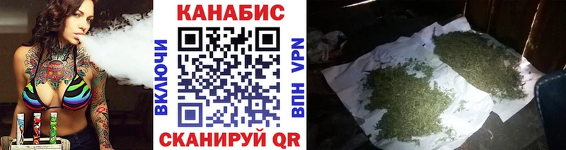 KRAKEN ONION  Новосокольники  Канабис марихуана 